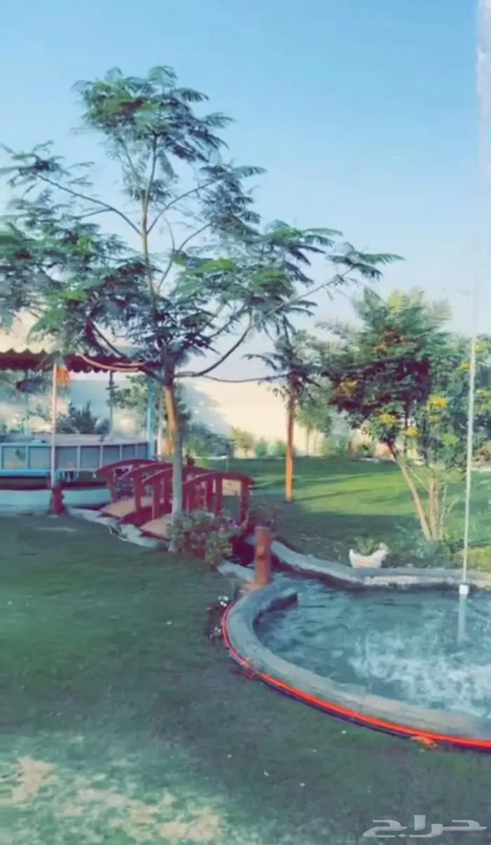 منتجع ريفيرا 1