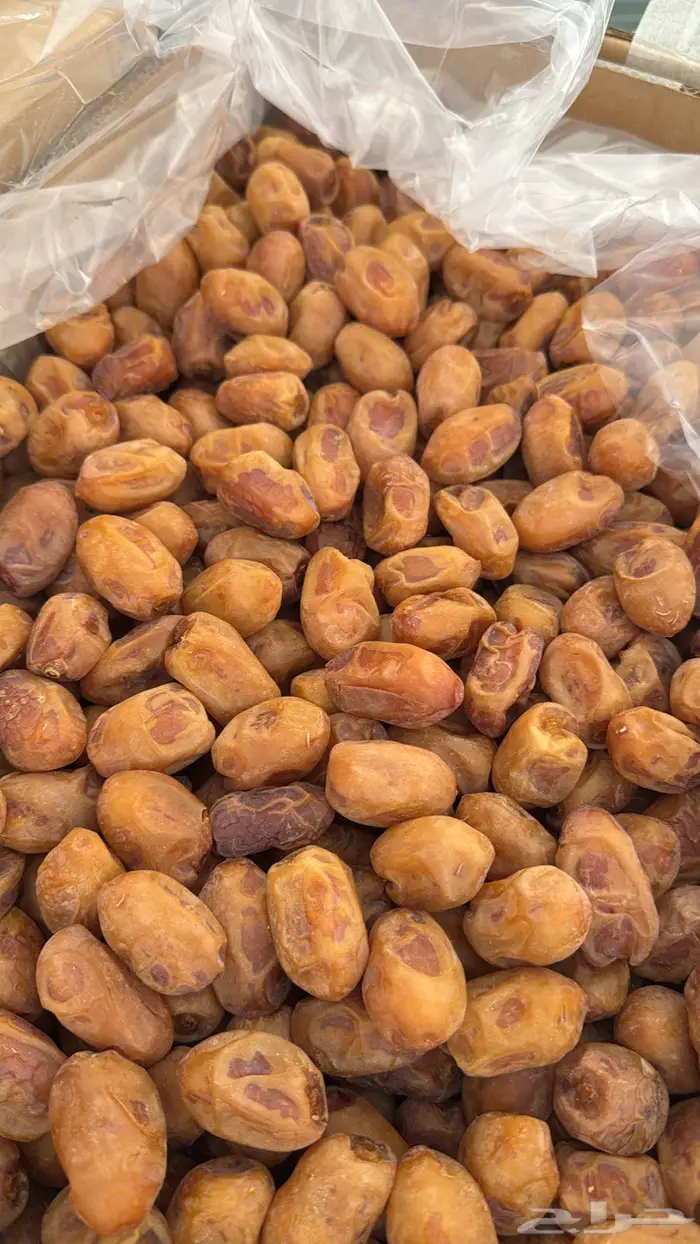 تمر خلاص 1