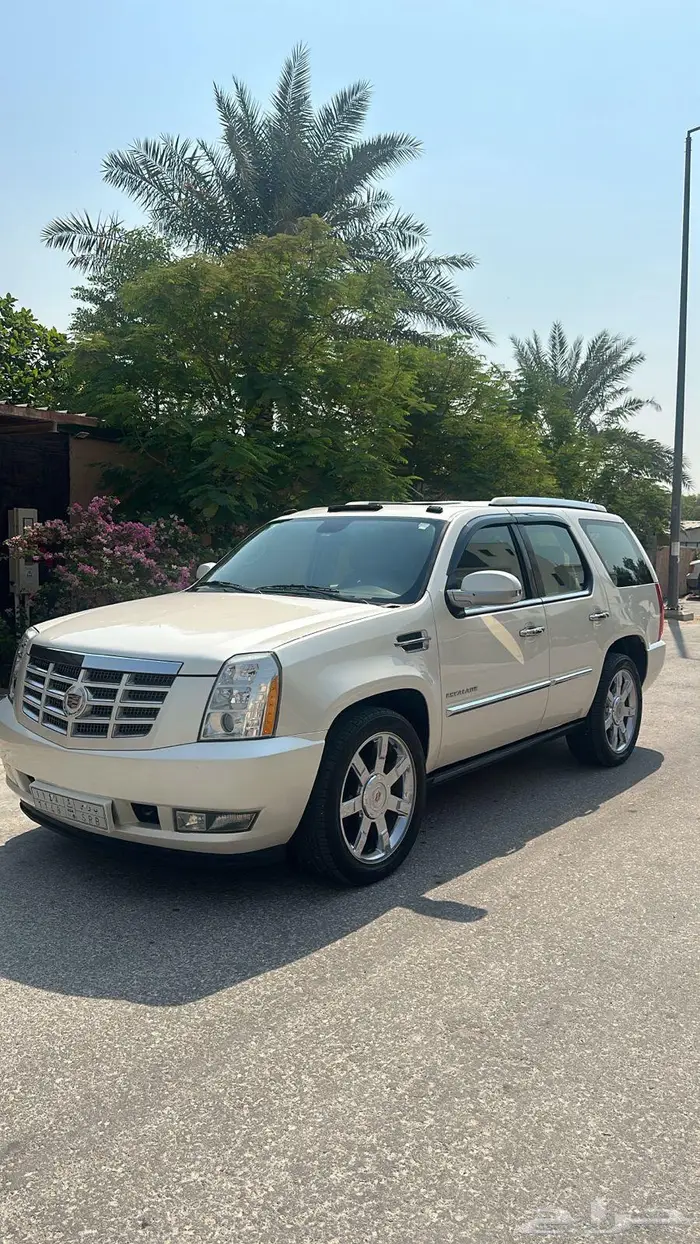 كايدلاك 0
