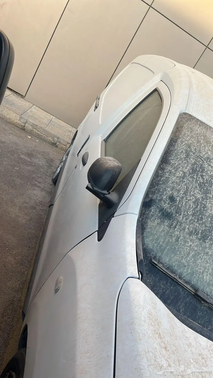 فان رينو موديل 2019 1