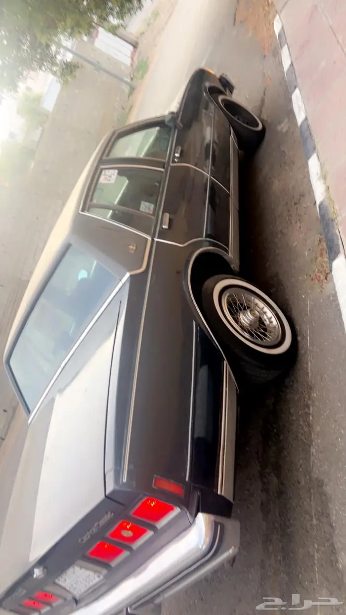 كابرس موديل 84 للبيع 1