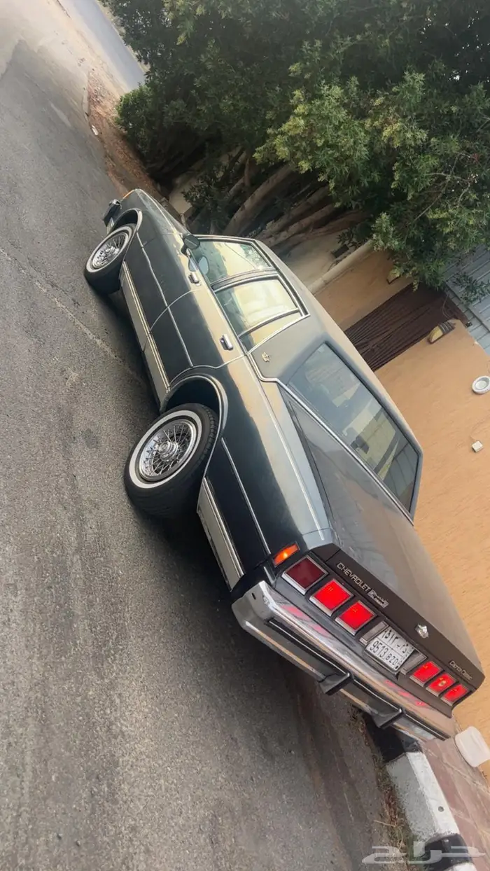 كابرس موديل 84 للبيع 10