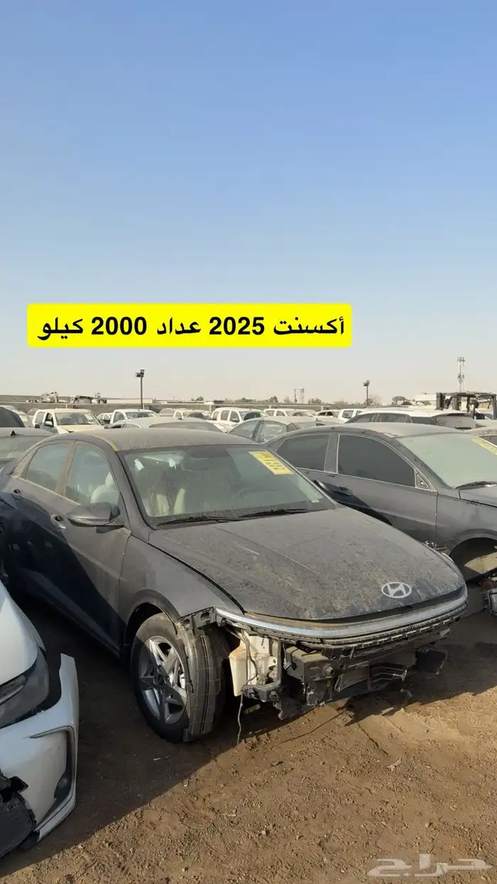 مزاد سيارات مصدومه يوم السبت الرياض الحاير 39