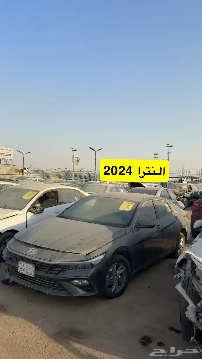 مزاد سيارات مصدومه يوم السبت الرياض الحاير 3