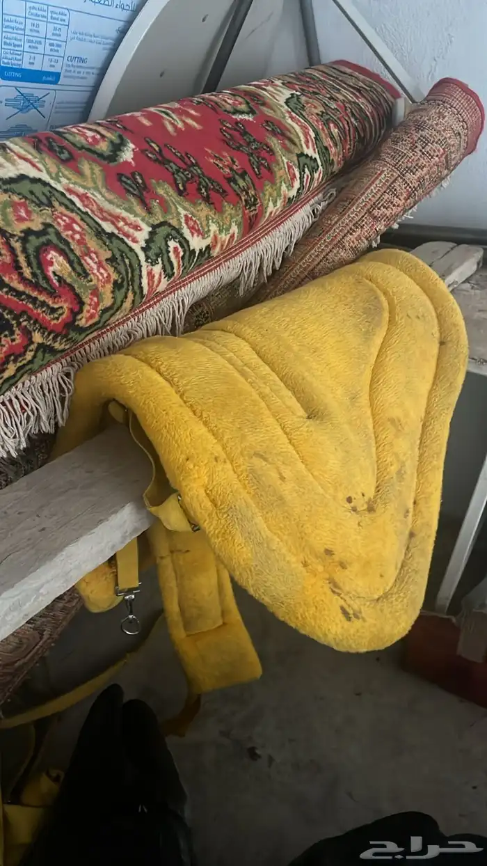 مستلزمات خيول 0