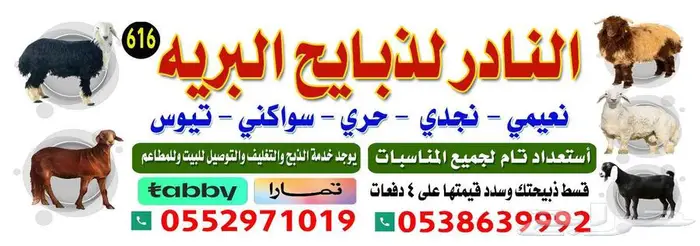 ذبايح بلدي تابي تمارا 0