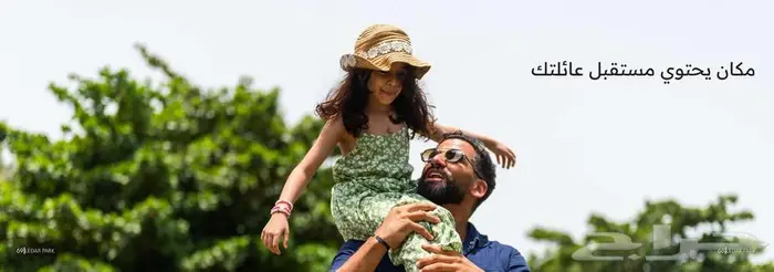 مخطط ليدار كامل الخدمات شمال بريدة 8