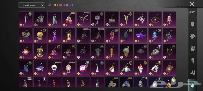 حساب ببجي مستوى 80 ع سوم 30