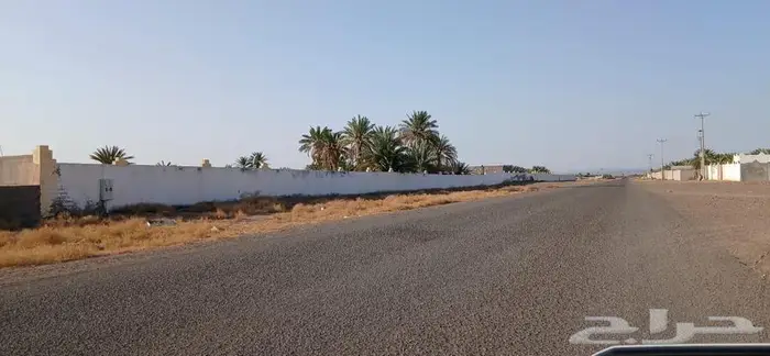 للبيع مزرعتين بالمليليح مساحه 60الف 8