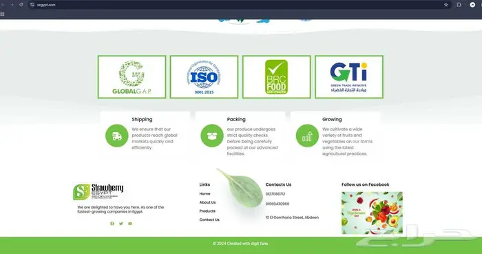 مبرمج و مصمم مواقع و برامج ويب 3