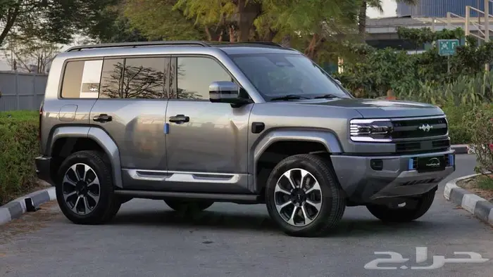 2025 بي وادي دي ليوبارد 5 اصفار م ضمان 4