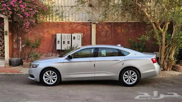 أمبالا 2019 5