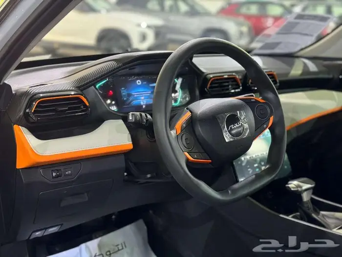 دونيق فينق شاين1 2025 بسعر 42000 12