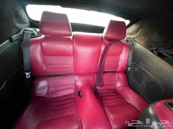 موستينج 2013 3