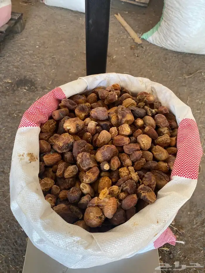 تمر علف أكياس 1