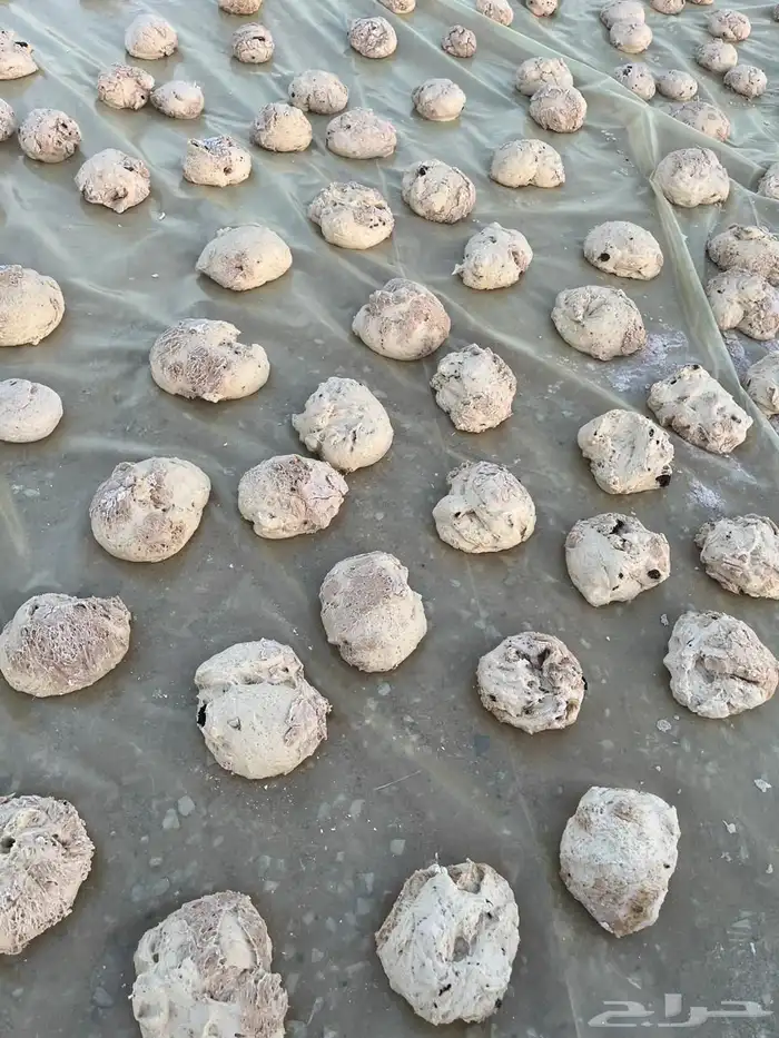 علف عجين 2