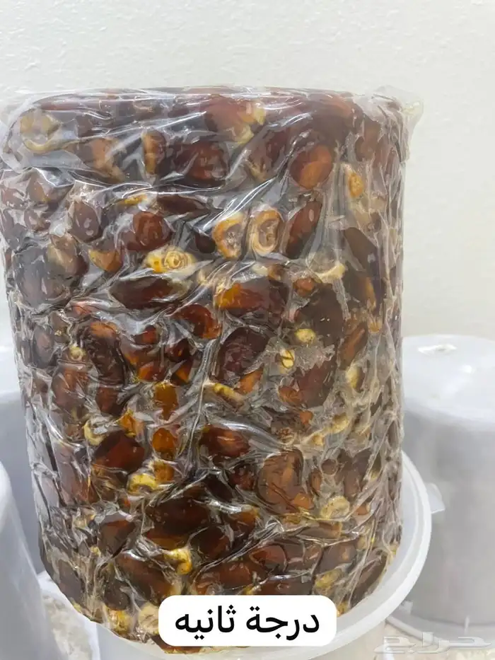 تمر برني 2