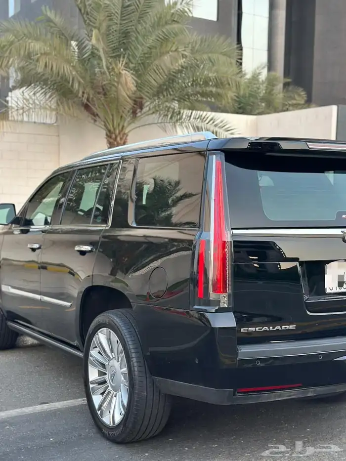 كاديلاك اسكاليد بلاتينيوم 2020 11