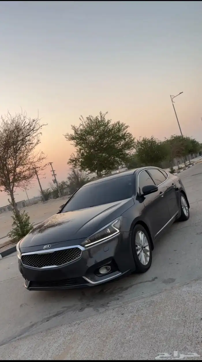 كادينزا 2018 28