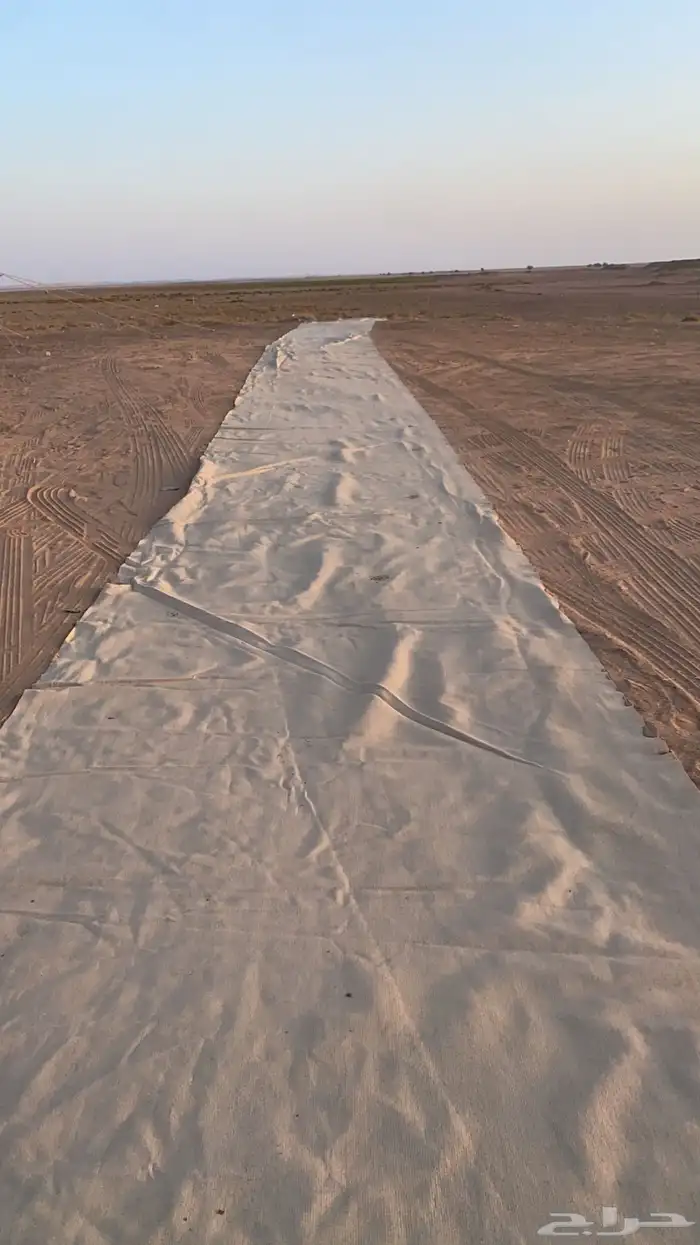 اروقة مخيم 4