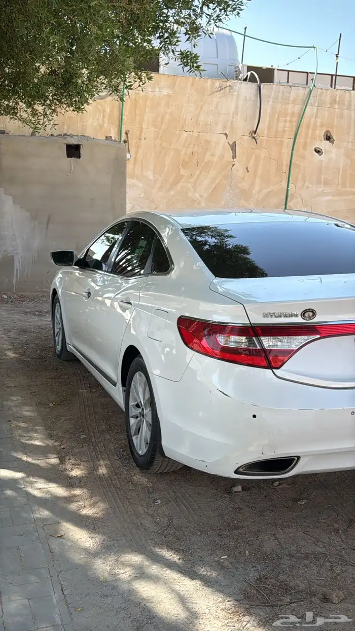 ازيرا مديل 2014 4