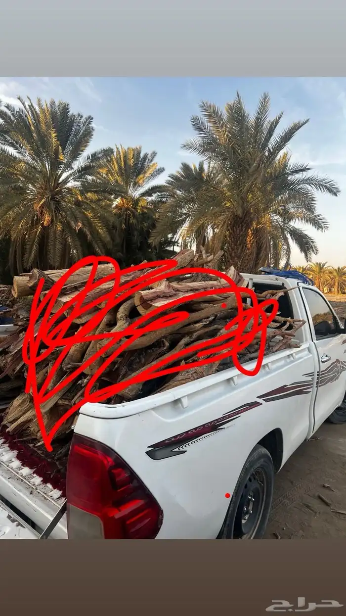 هلقس غماره حطب مستورد 0