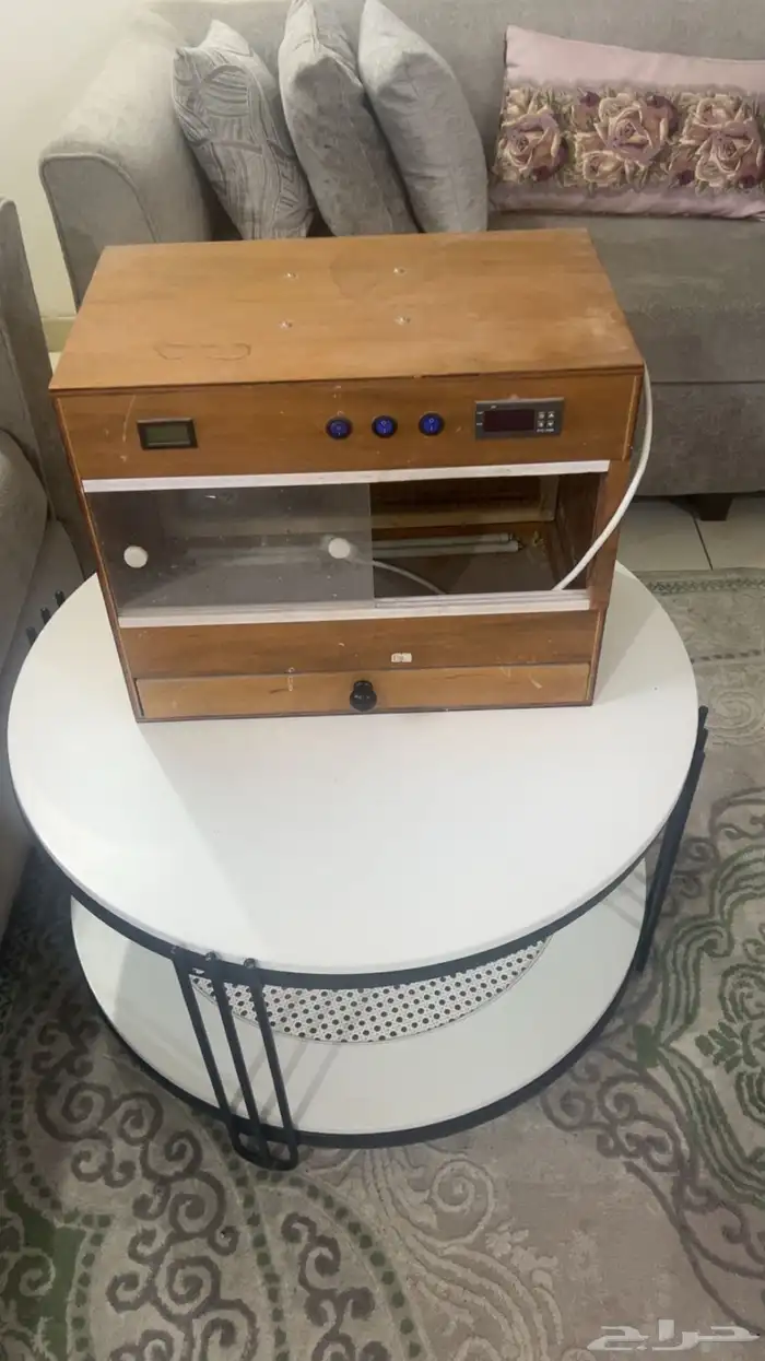 حضانه طيور 0