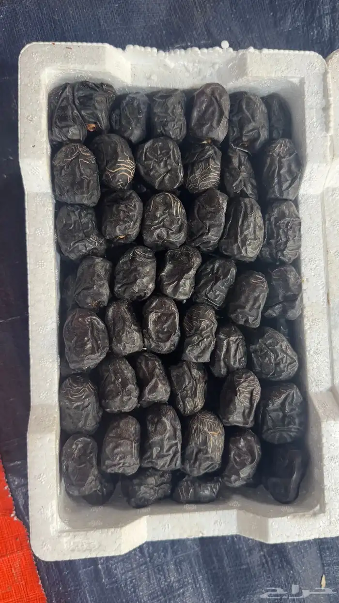 عجوة رطب 2
