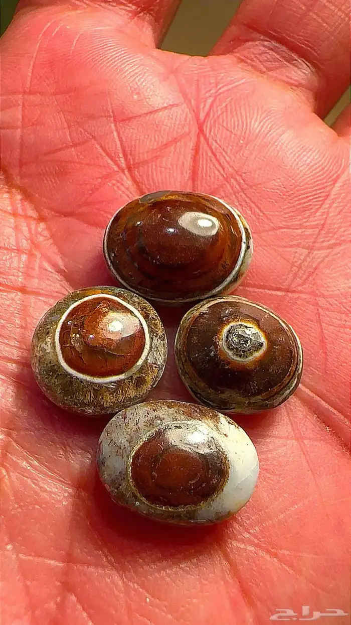 خواتم عقيق 2