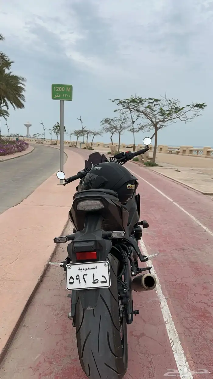 سزوكي ستريت فايتر 1000 Suzuki GSXs 3