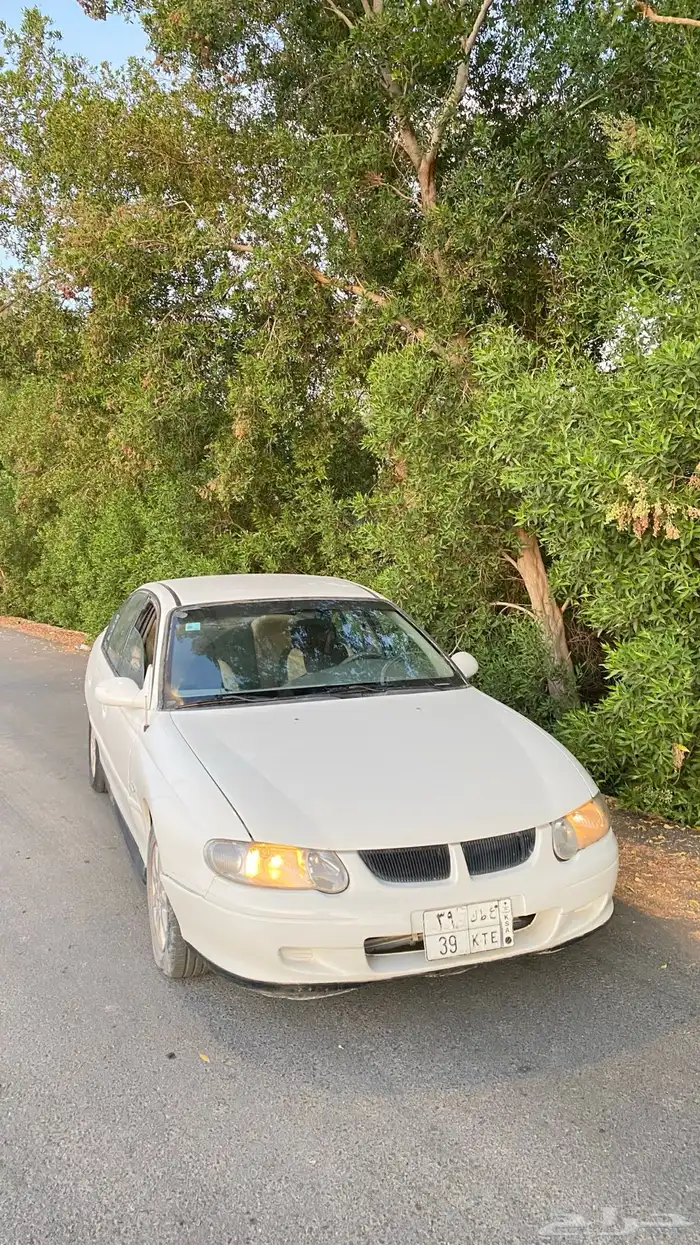 لومينا 2001 4