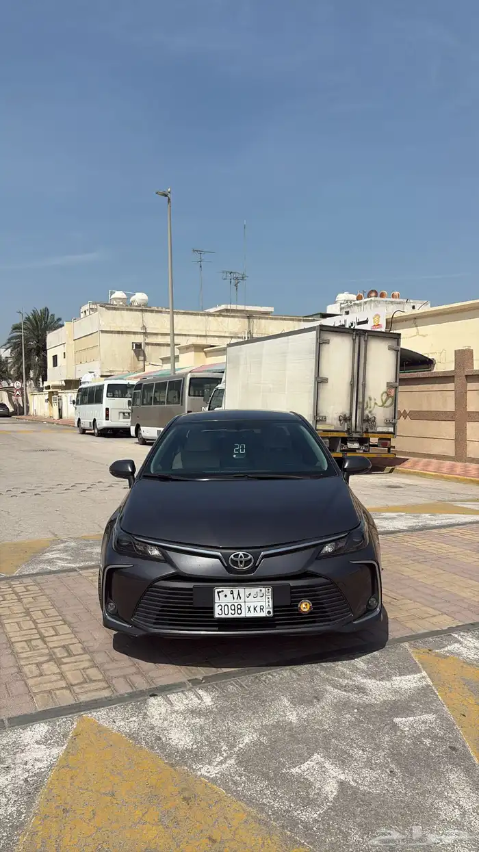 كوريلا 0
