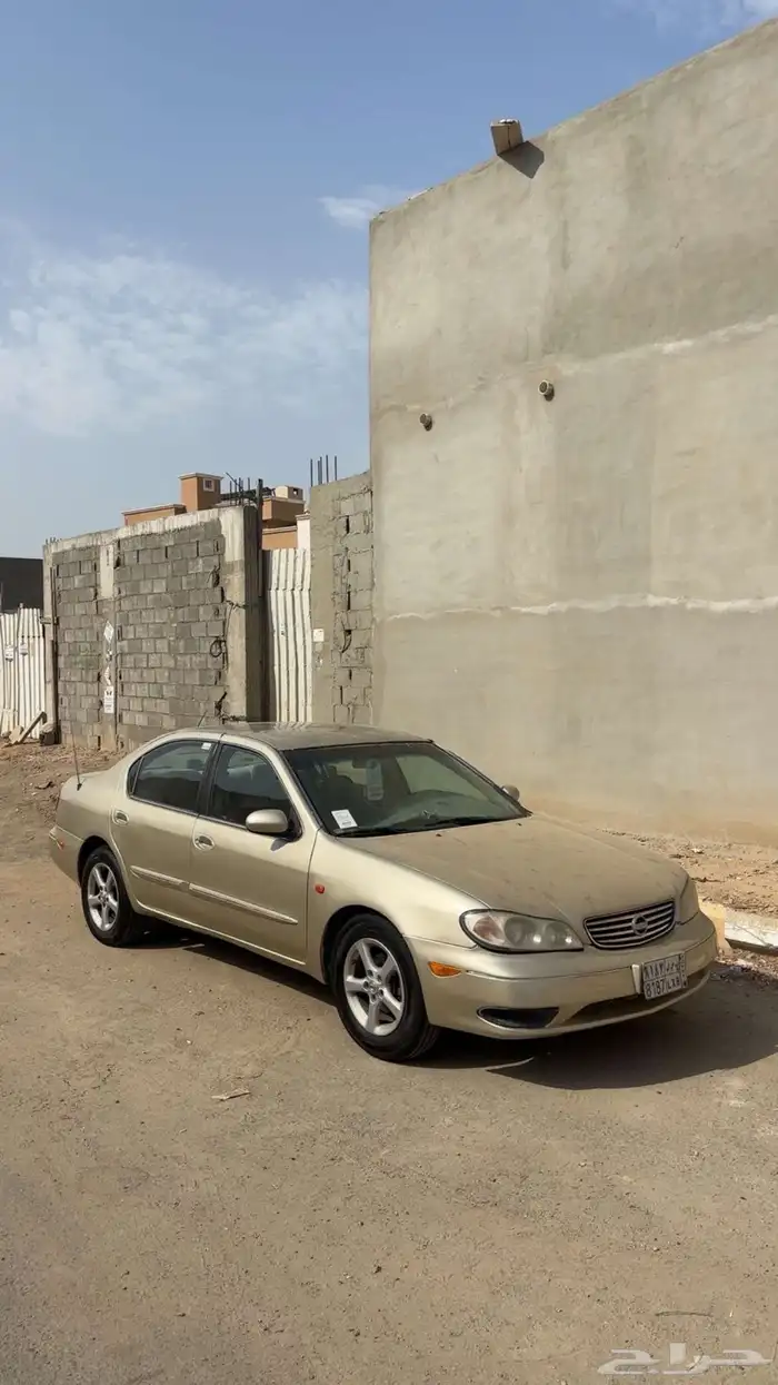 مكسيما 2000 مجدده كامل للبيع 7