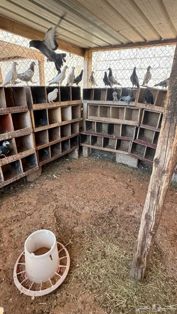 مخافق حمام للبيع 2