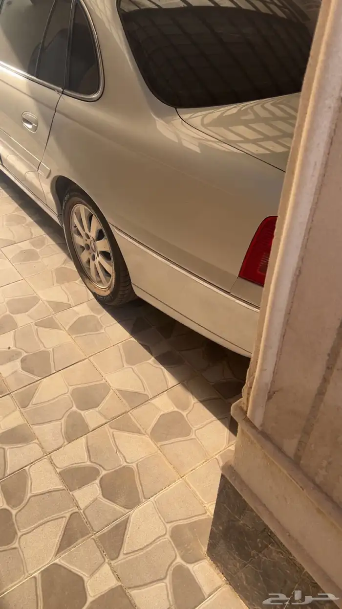 كابرس 2006 1