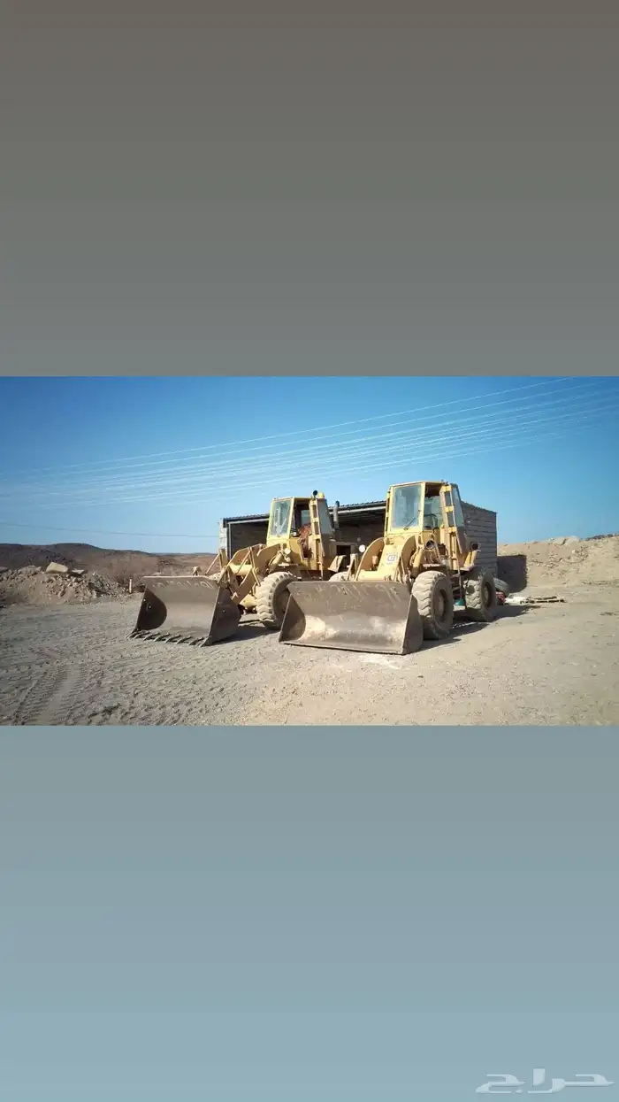 لبيع جميع ارمل الثمد خيبر الرحبه 8