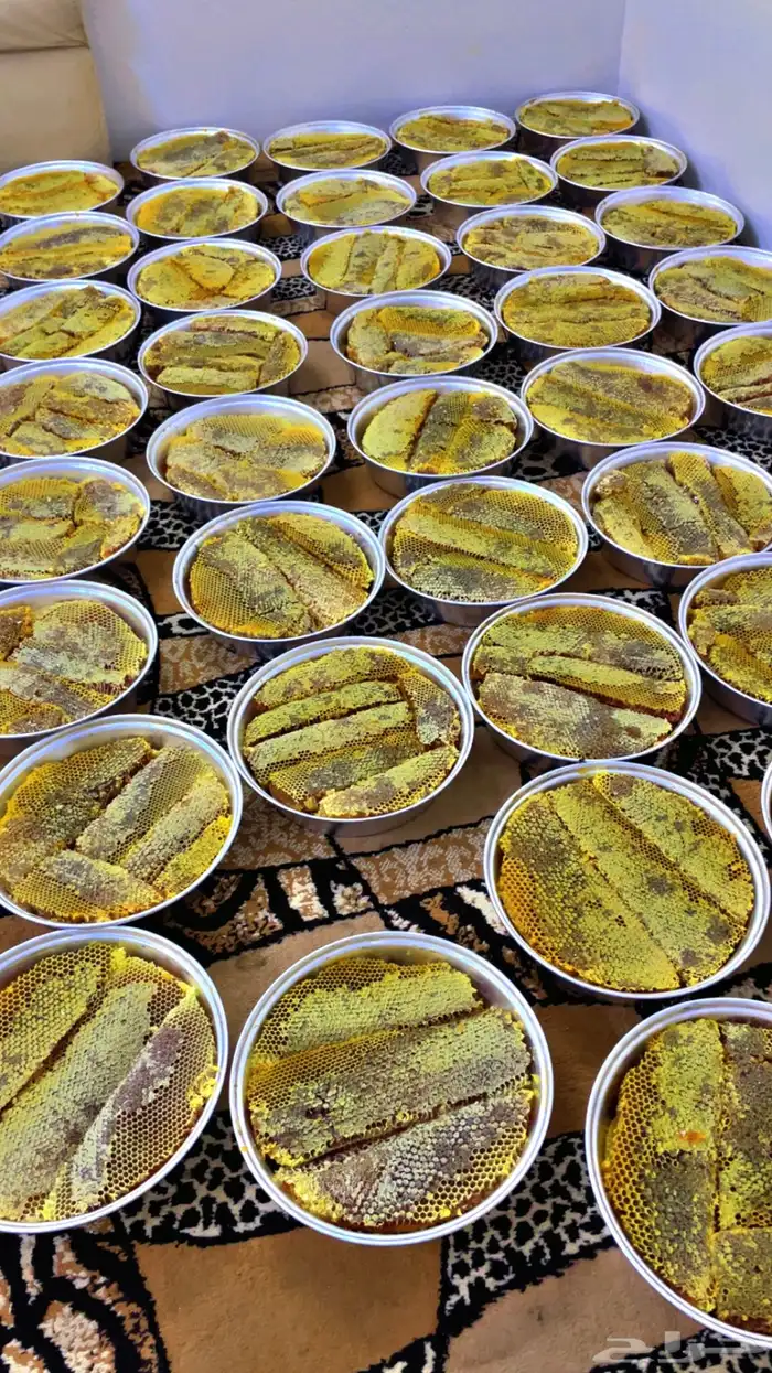 عسل سدر مع القرض مناحل ابو عبدالله 2