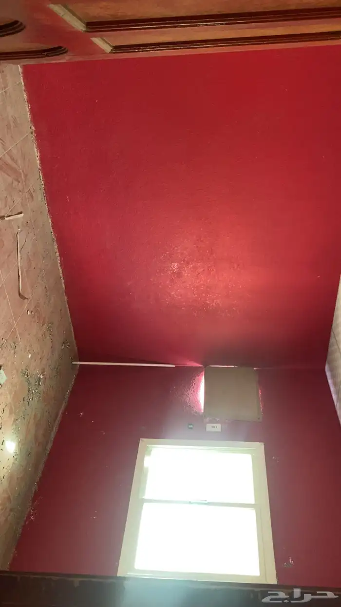 السيل الكبير 4
