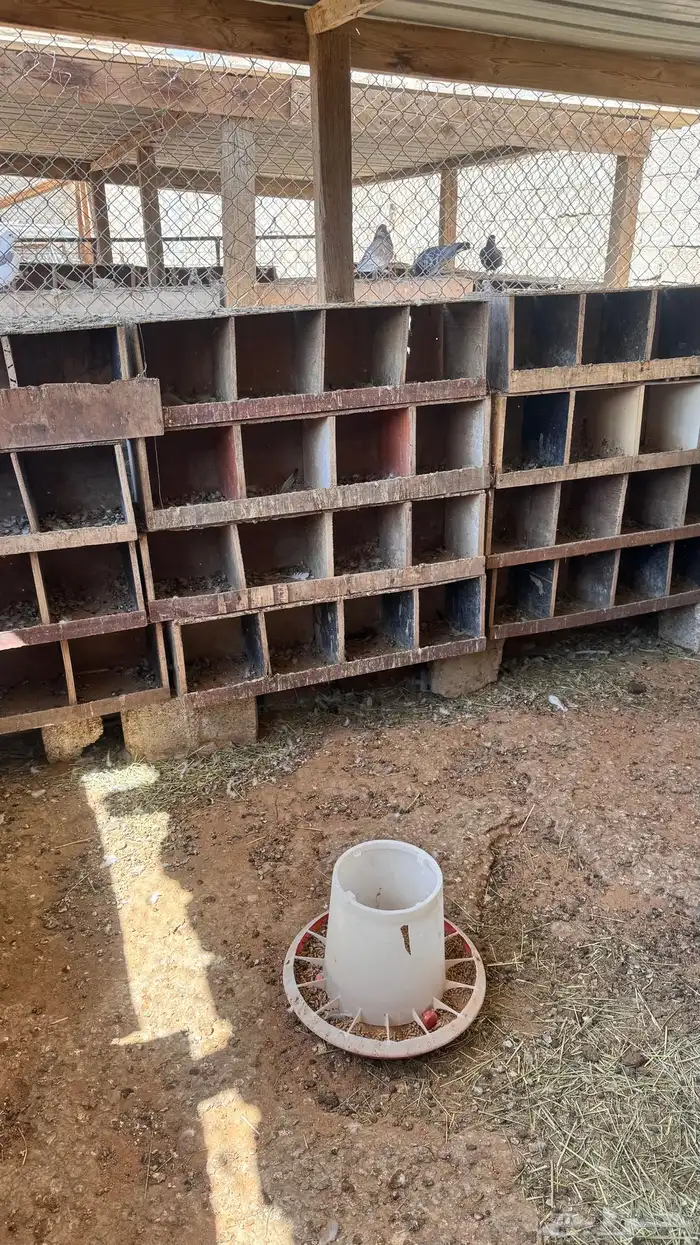 مخافق حمام للبيع 0