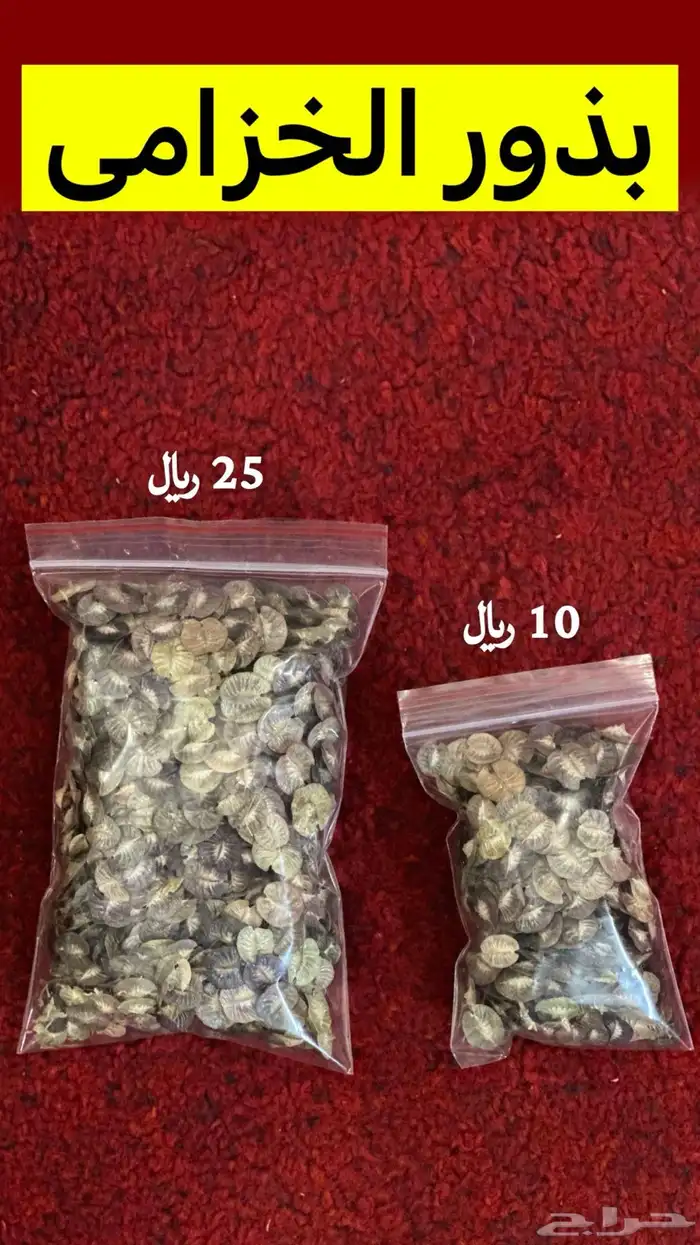 بذور موسمية 2