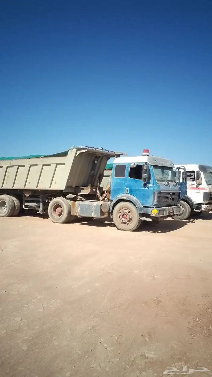 لبيع جميع ارمل الثمد خيبر الرحبه 4