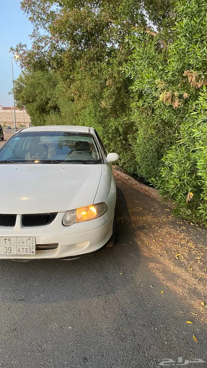لومينا 2001 3