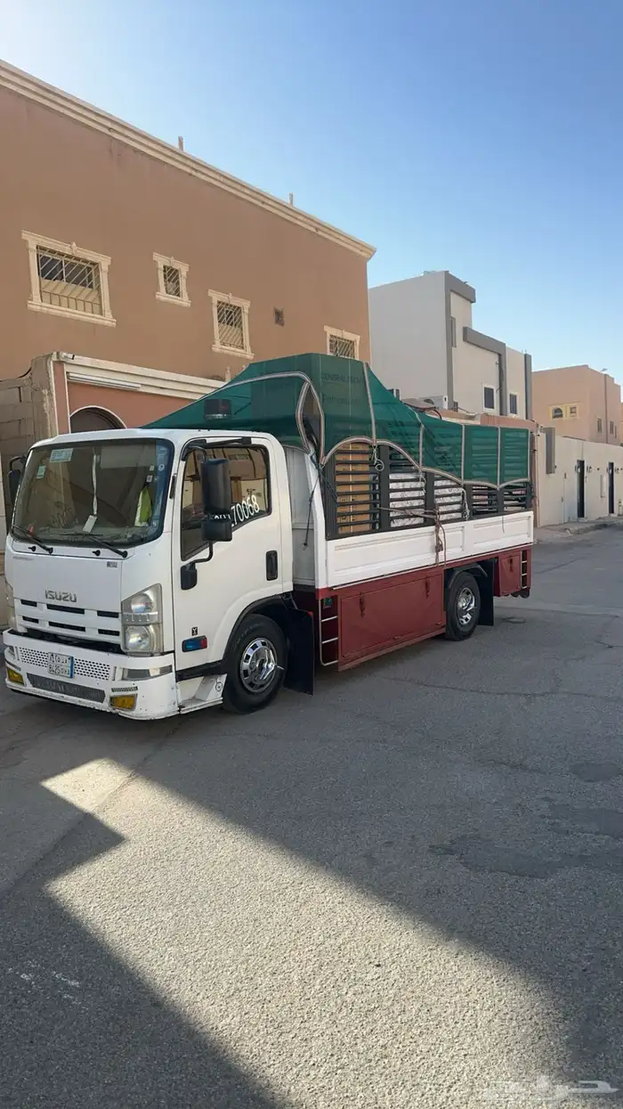 دينا الرس 0