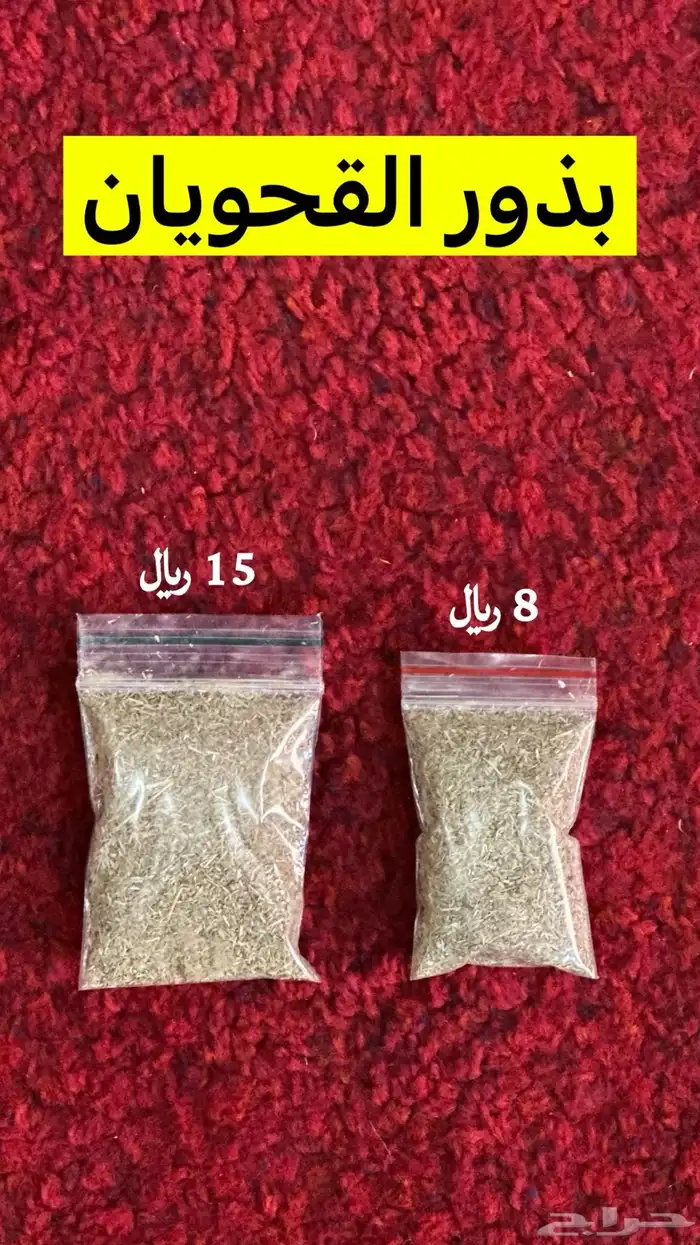 بذور موسمية 0