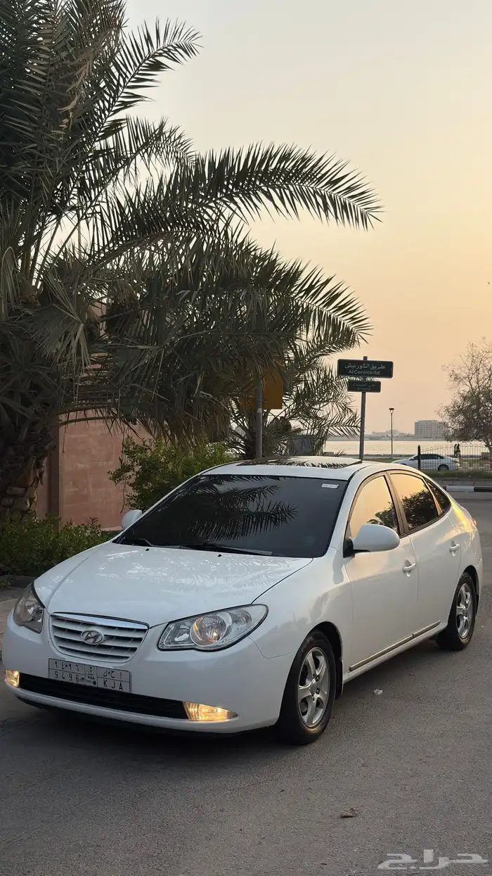 النترا2008 3