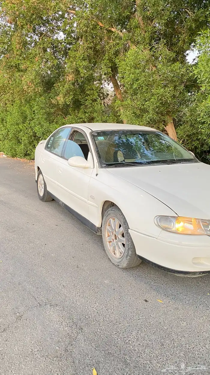 لومينا 2001 5