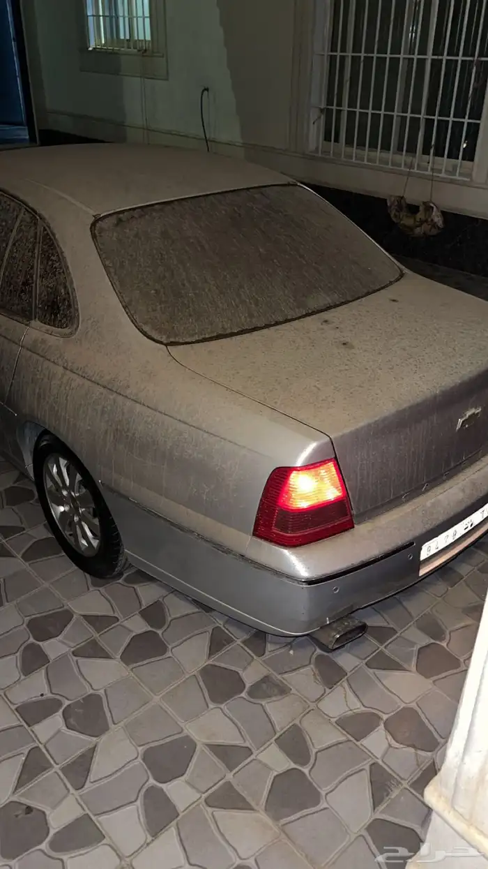 كابرس 2006 8