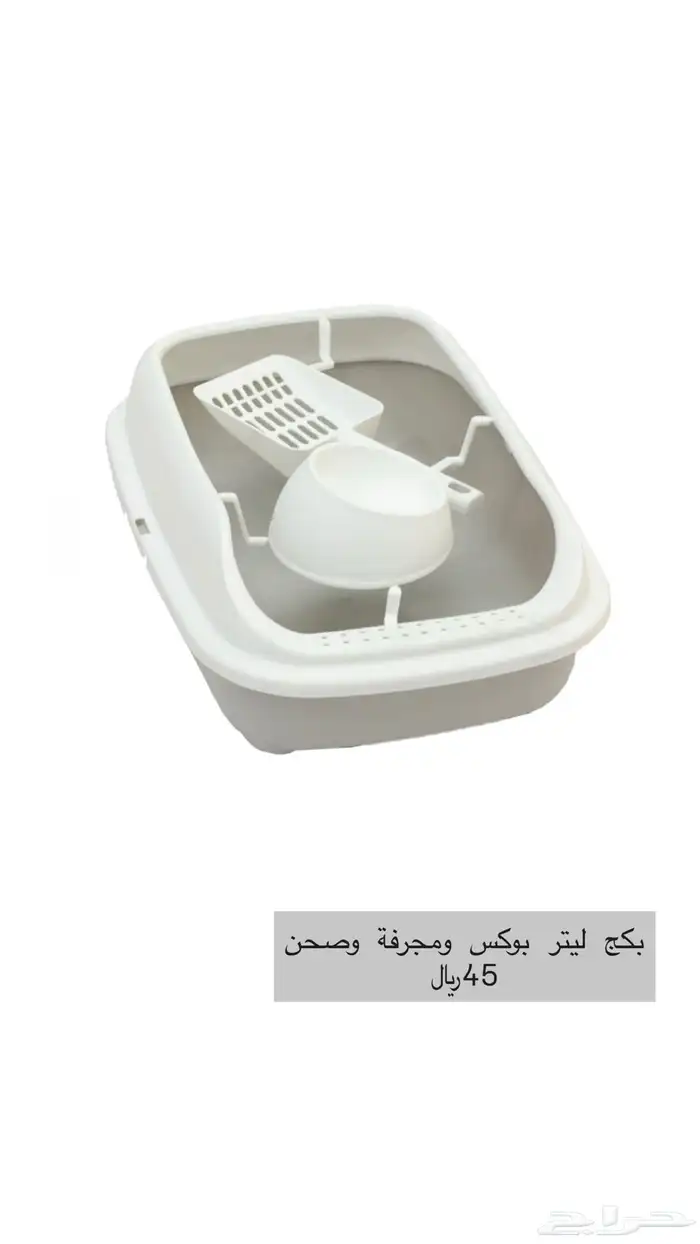 قطط 0