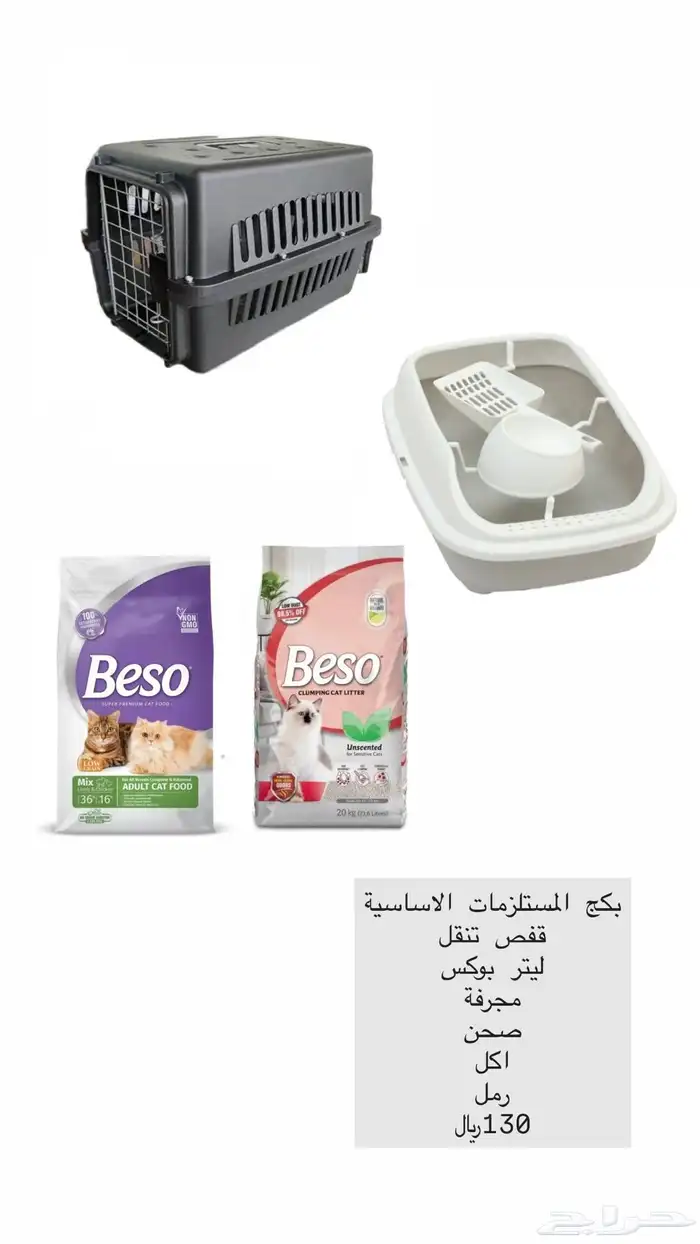 قطط 3