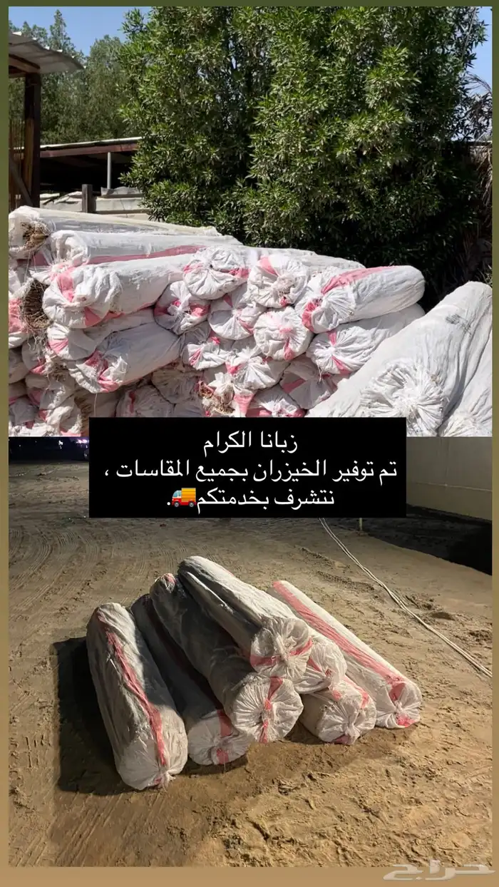 خيزران قش اندونسي 0